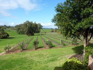 263483_10150230780281456_730446455_7806150_4248910_n