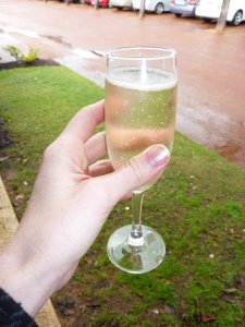 269803_10150230779856456_730446455_7806144_2401727_n