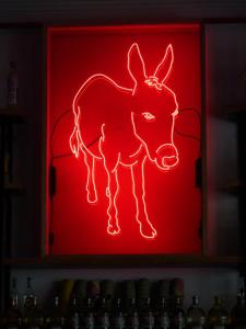 537846_10150624548031456_730446455_9655480_252828429_n