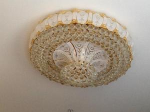 479765_10151127002621456_1048059218_n