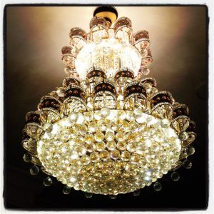 483490_10151126853451456_97270486_n