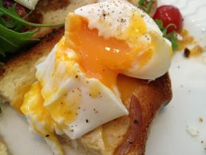 62174_10151160152521456_339458902_n