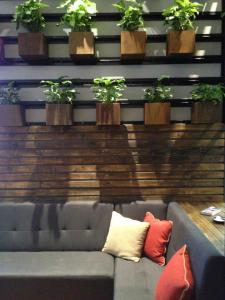 553033_10151322739656456_404774029_n