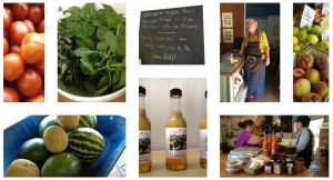 554782_10151364088106456_1795461213_n