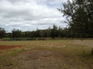 561404_10151329163011456_1951641582_n