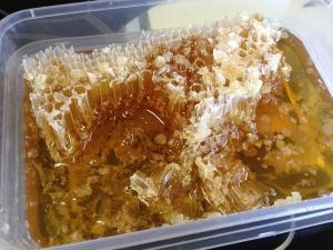 575350_10151364090181456_1207461395_n