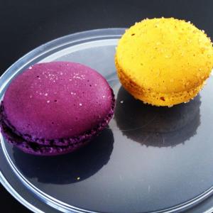 644598_10151329135156456_1678340477_n