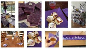 935083_10151364088301456_588285045_n