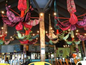 261650_10151396694886456_544980325_n