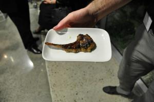 393099_451743078244384_835898384_n