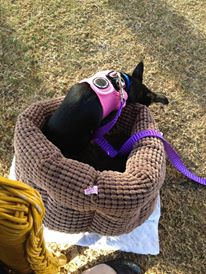 1004412_10151436229391456_2009083360_n