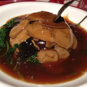 1604504_10151887165951456_930712106_n