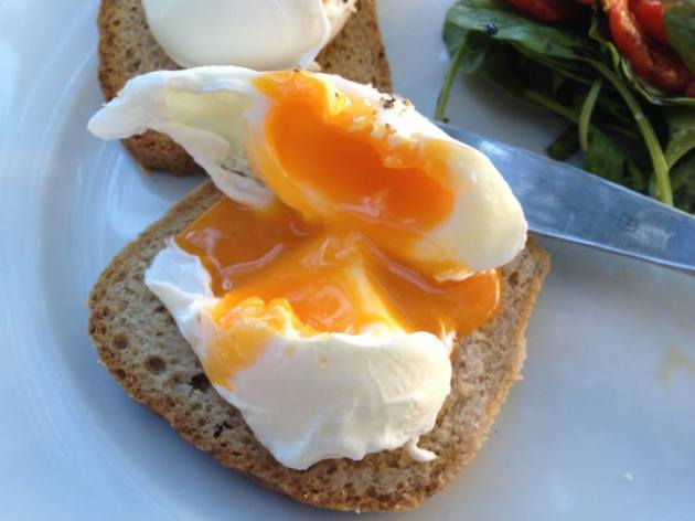 10002911_10151953756551456_1113310987_n