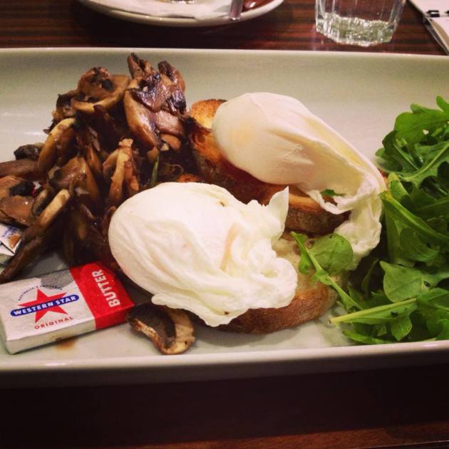 1461351_539991346086223_1737517941_n