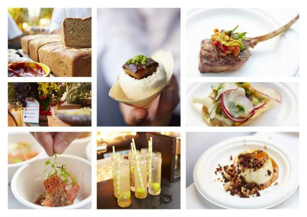 1920113_10151955730736456_1858262144_n