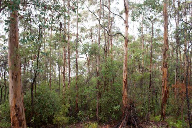 10269439_10152049312871456_8548287985955096753_n