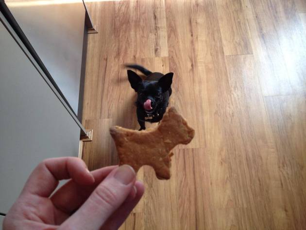 10341844_630877916997565_7421717333417101193_n