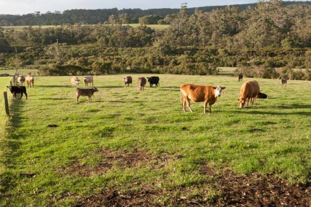 10364195_10152049314146456_5494800841740374420_n