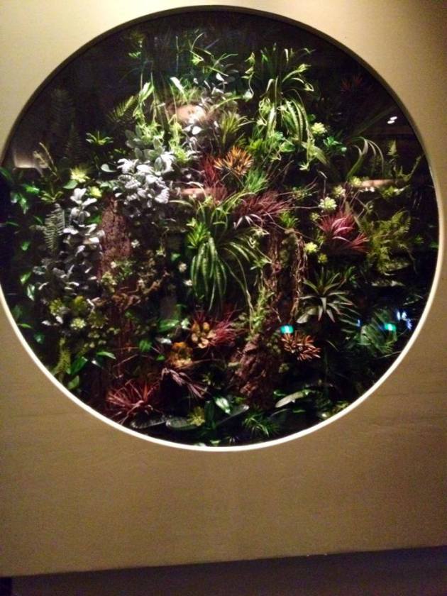 10505438_658268407591849_5141605563537196644_n