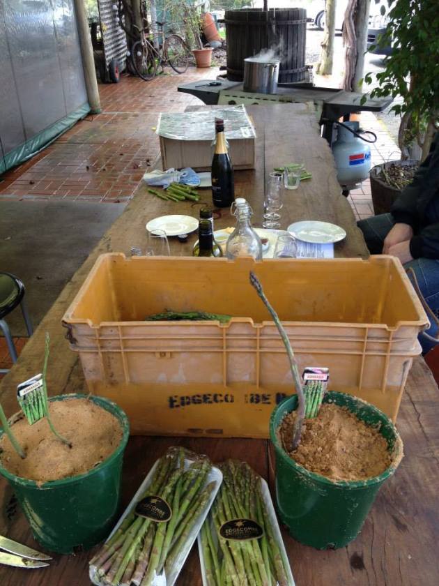 10398103_689068571178499_1831321577528841599_n