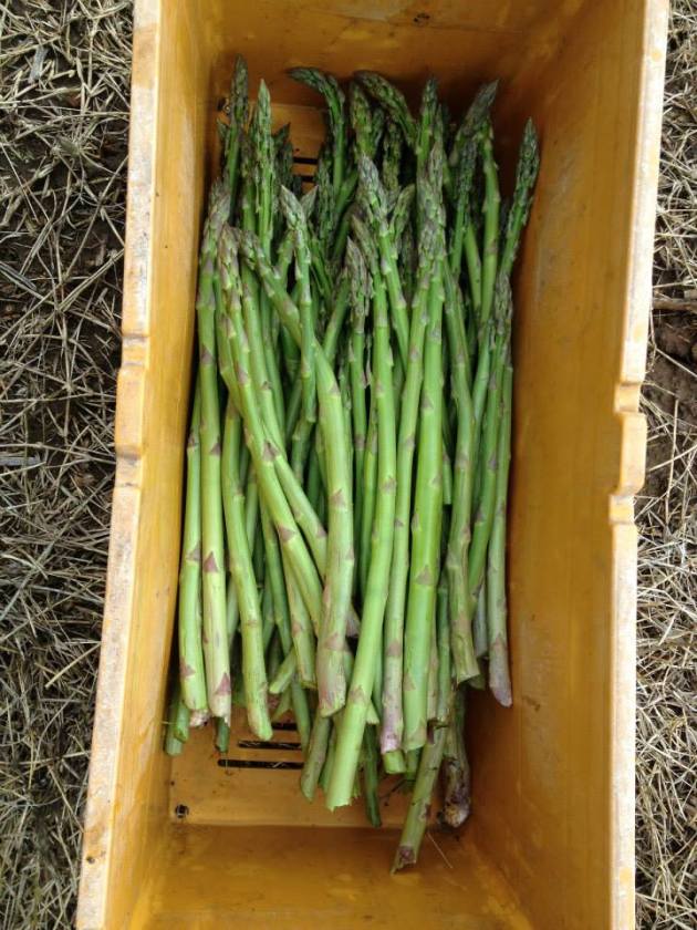 10407547_689068131178543_6959102147257907320_n