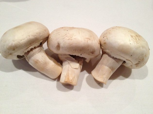 10624772_10152401747276456_8593719129099624054_n