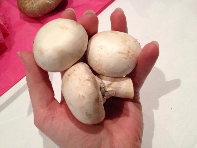 12791_721040674647955_4934729817157484737_n