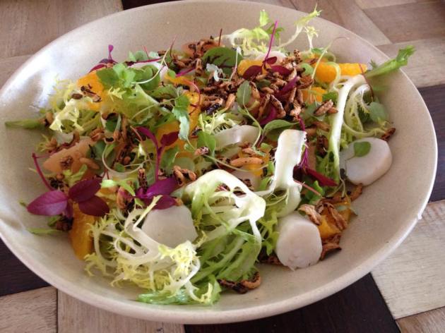 10685566_756935144391841_7361495434400853660_n