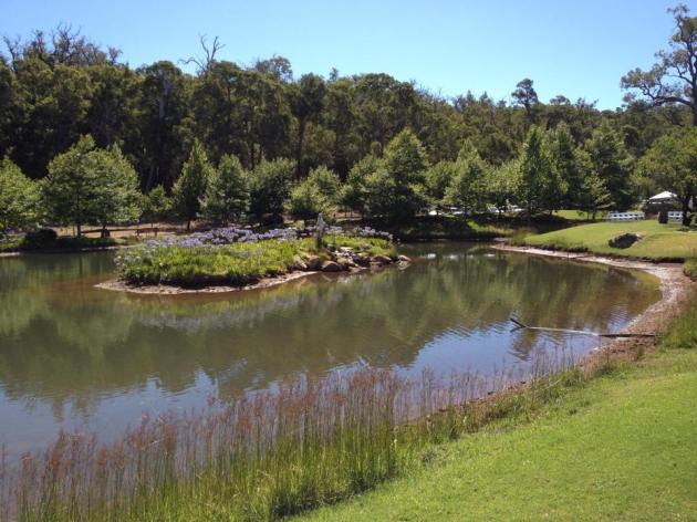 10892003_763414520410570_3511808116931386261_n