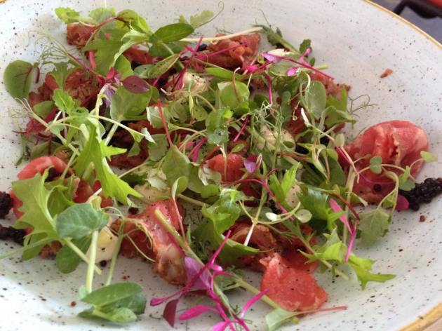 10897020_756935277725161_6831817745440194395_n