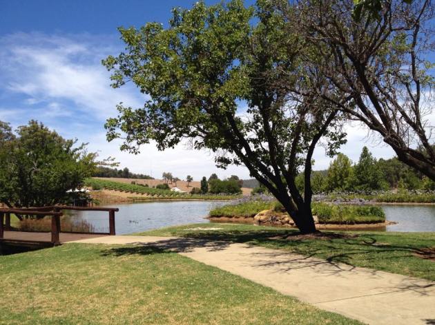 10906470_763414373743918_1010874107581058366_n