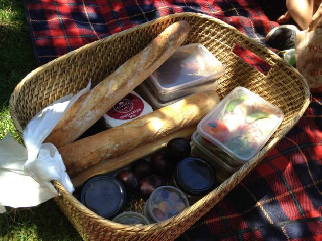 10931476_10152546565541456_5386486368902250106_n