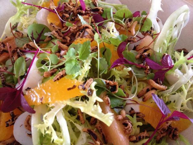 12825_756935227725166_3253354184359194491_n