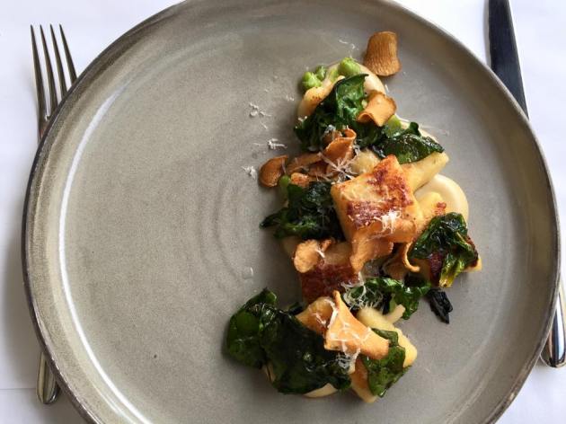 11707832_890175261067828_5858319667371946006_n