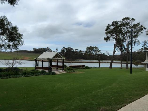 11904706_890175507734470_3055839855293442697_n