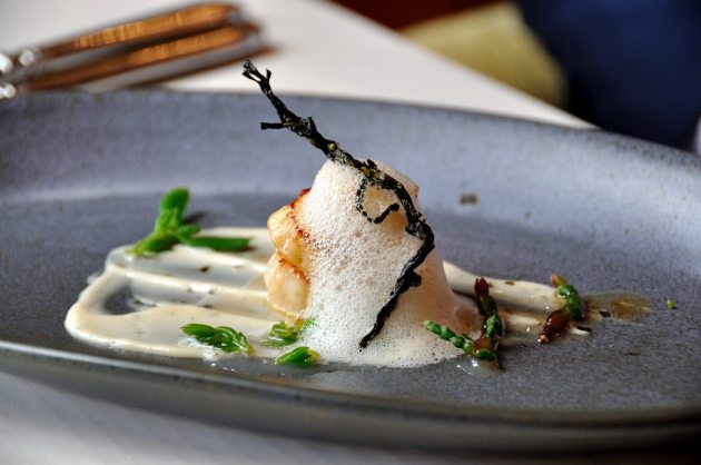 11999711_900931206658900_1223088947715807939_o