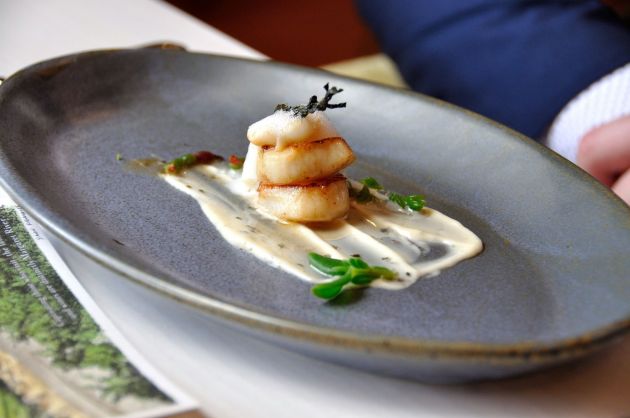 12000908_900930983325589_6420870041896452456_o