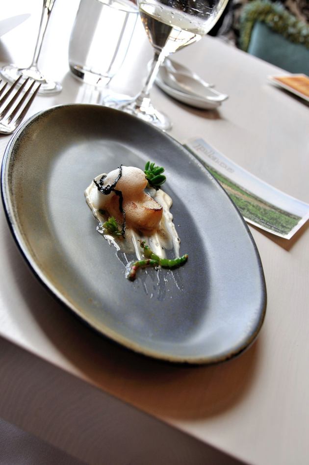 12015014_900931593325528_4478300007238630855_o