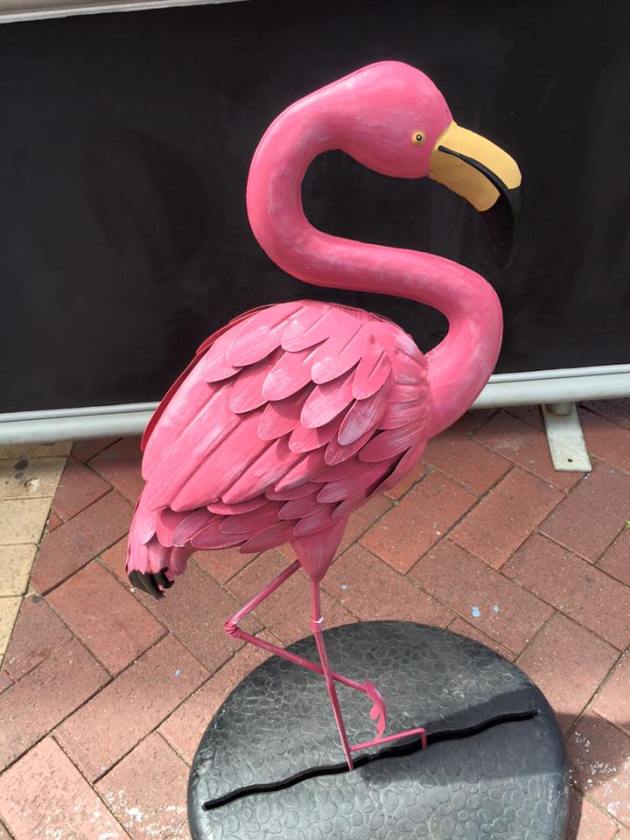 12243031_926482177437136_7906395746857666277_n