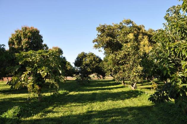 13958294_10153683571056456_1490401082751983795_o