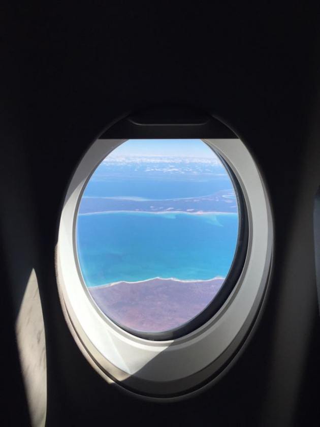 14039905_10153686079891456_1049596832202785037_n