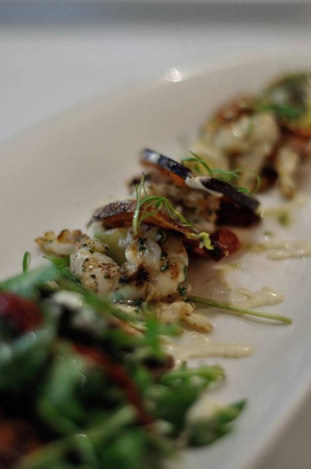 14055059_1093314000753952_1804099078800273075_n