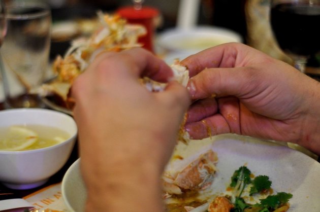 14241491_1109235135828505_9206429060534852431_o