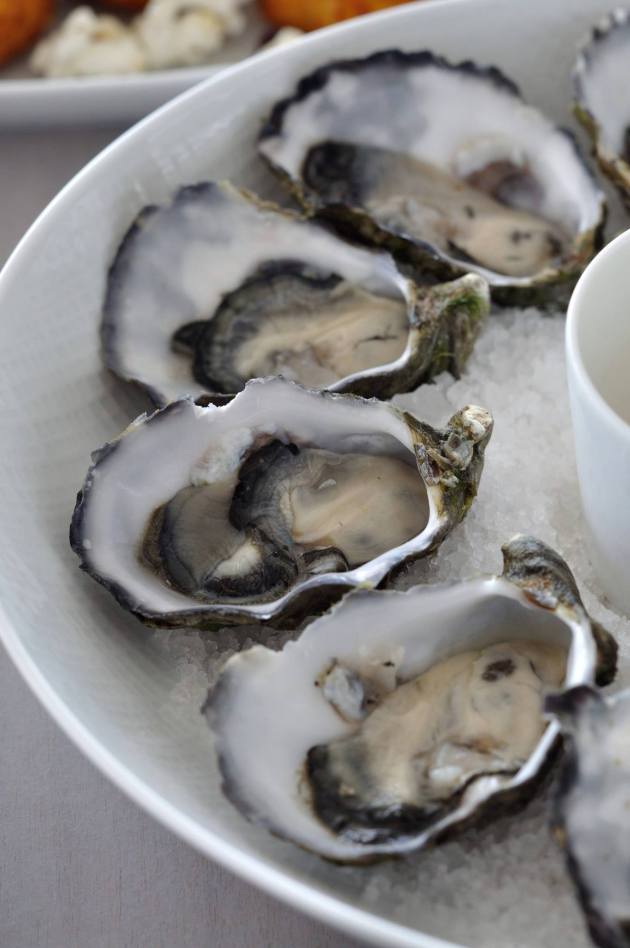 14379972_1122461977839154_1129246975540669054_o