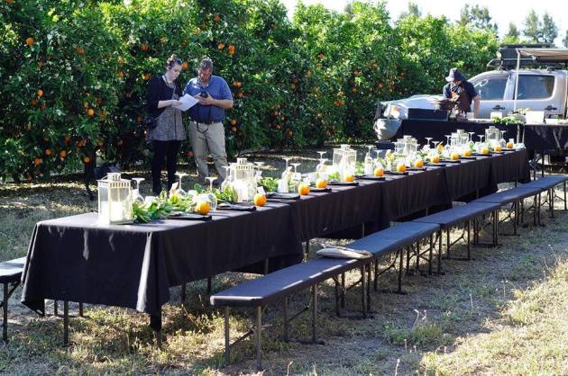 14611163_1152430324842319_3991155833542712459_n