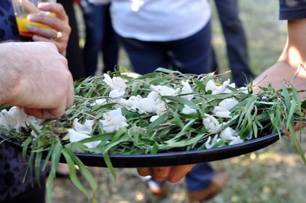 14642165_1152430238175661_4143049213733599196_n