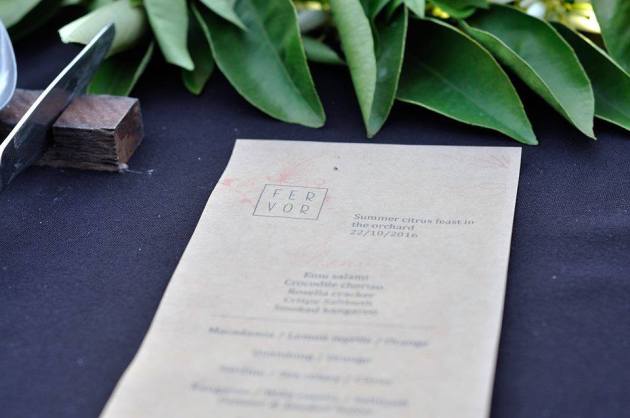 14900567_1152430184842333_1527540989024182896_n