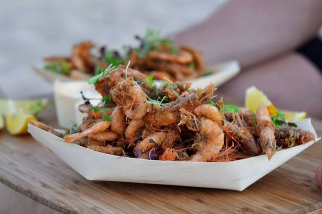 16487844_1263725013712849_1220956516523527526_o