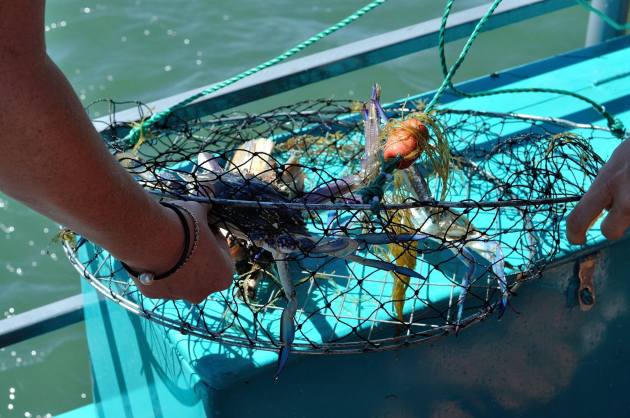 16665162_1263722380379779_6216654181937911383_o