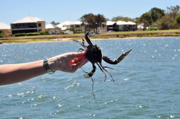 16665169_1263722283713122_2068372430799451710_o